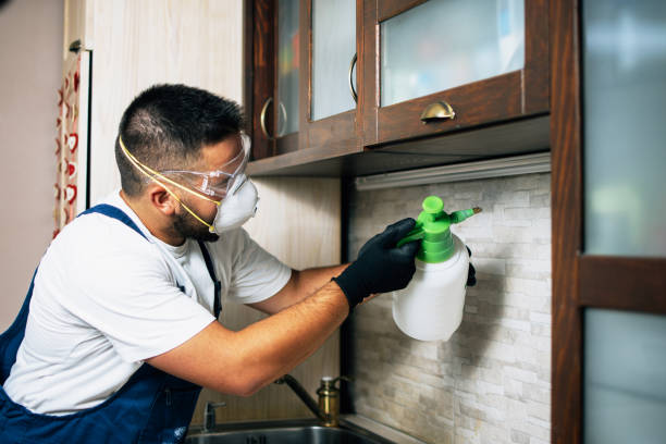 Best Pest Removal Services  in Madison Heights, VA