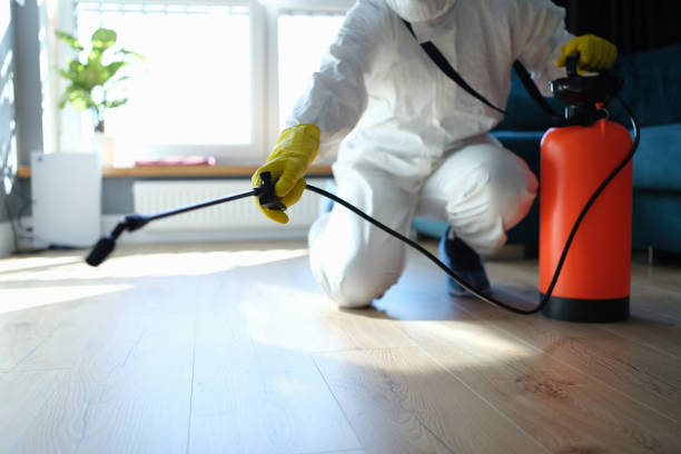 Best Flea Control Services  in Madison Heights, VA