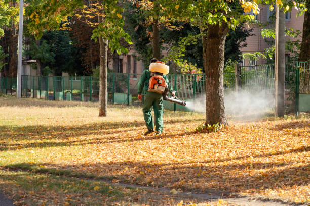 Pest Control Cost in Madison Heights, VA