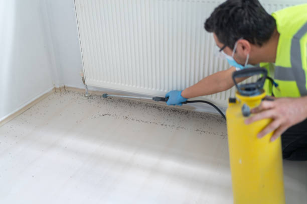 Best Pest Inspection Near Me  in Madison Heights, VA