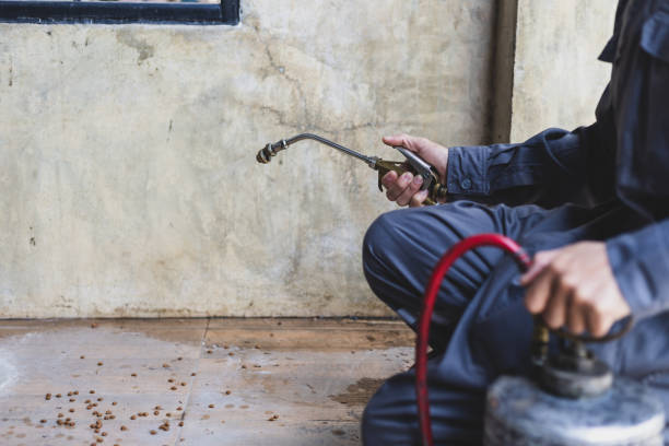 Best Best Pest Control Companies  in Madison Heights, VA
